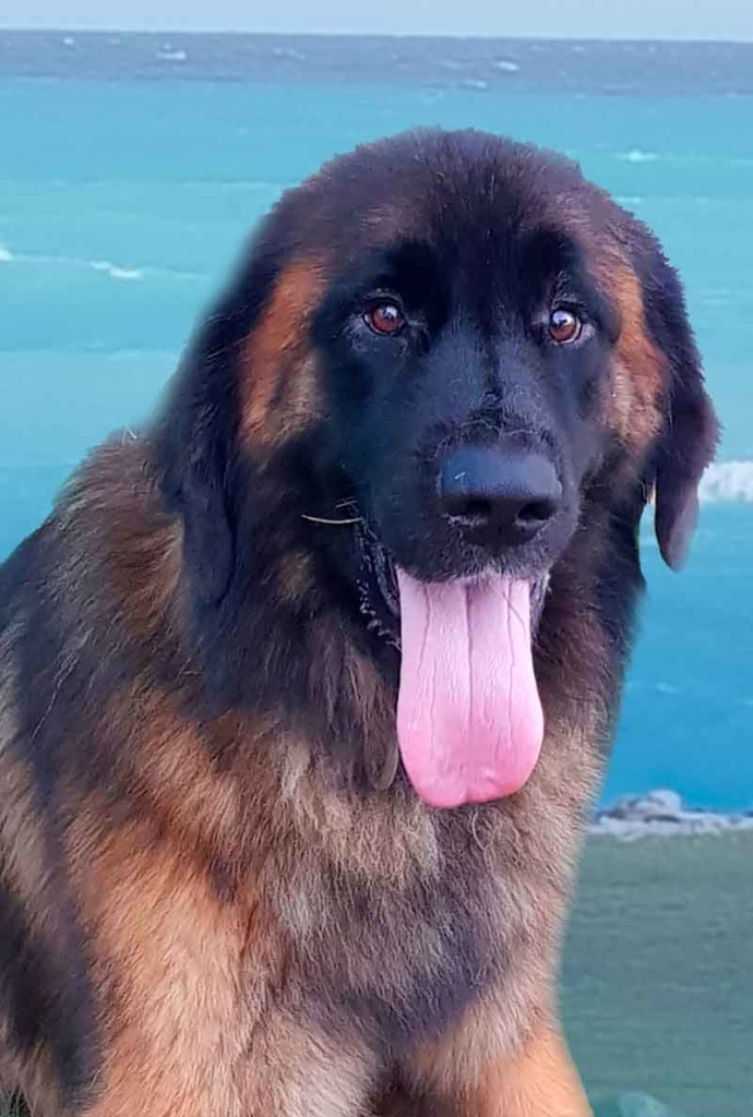 Sam
